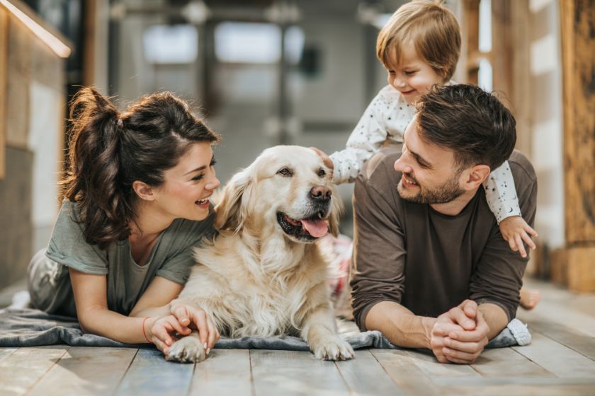 Environmental Wellness Toolkit