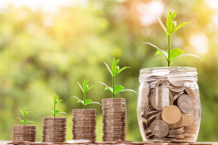 Money Management Guide